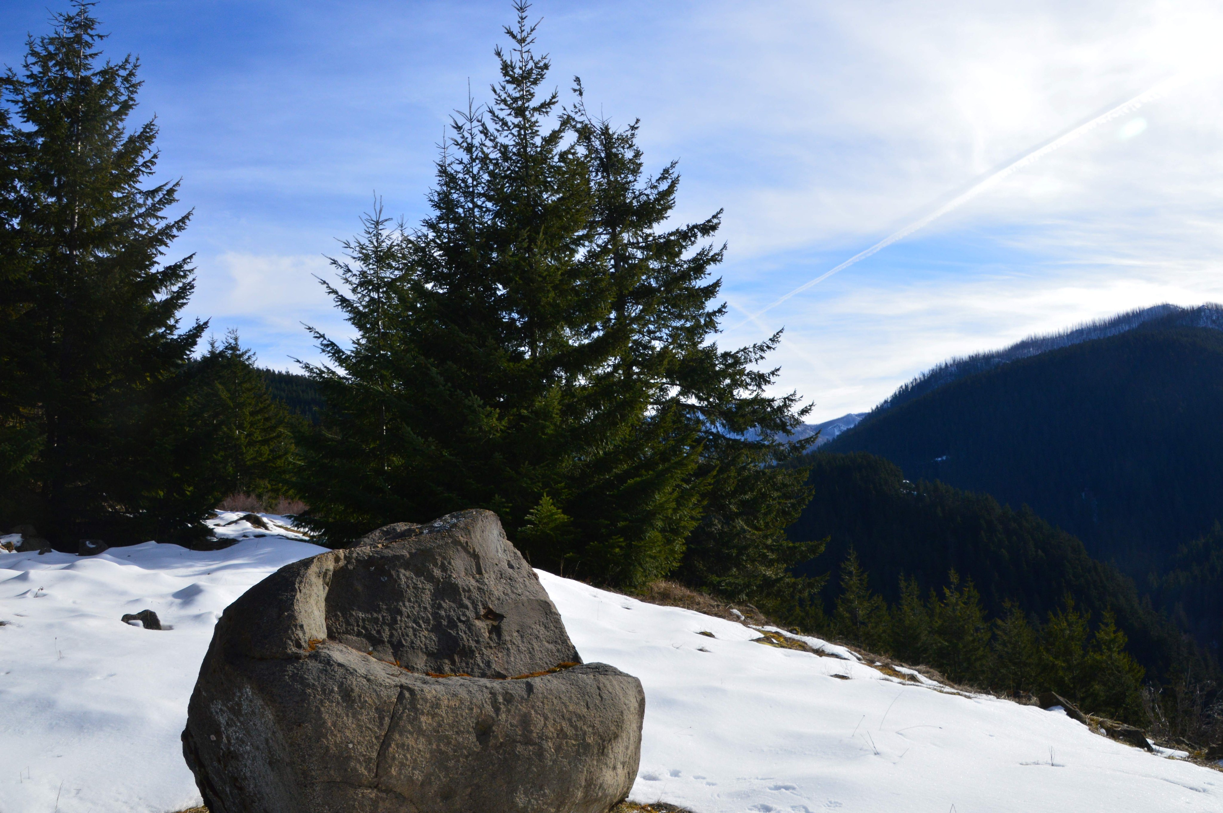 Naches Trail — Washington Trails Association